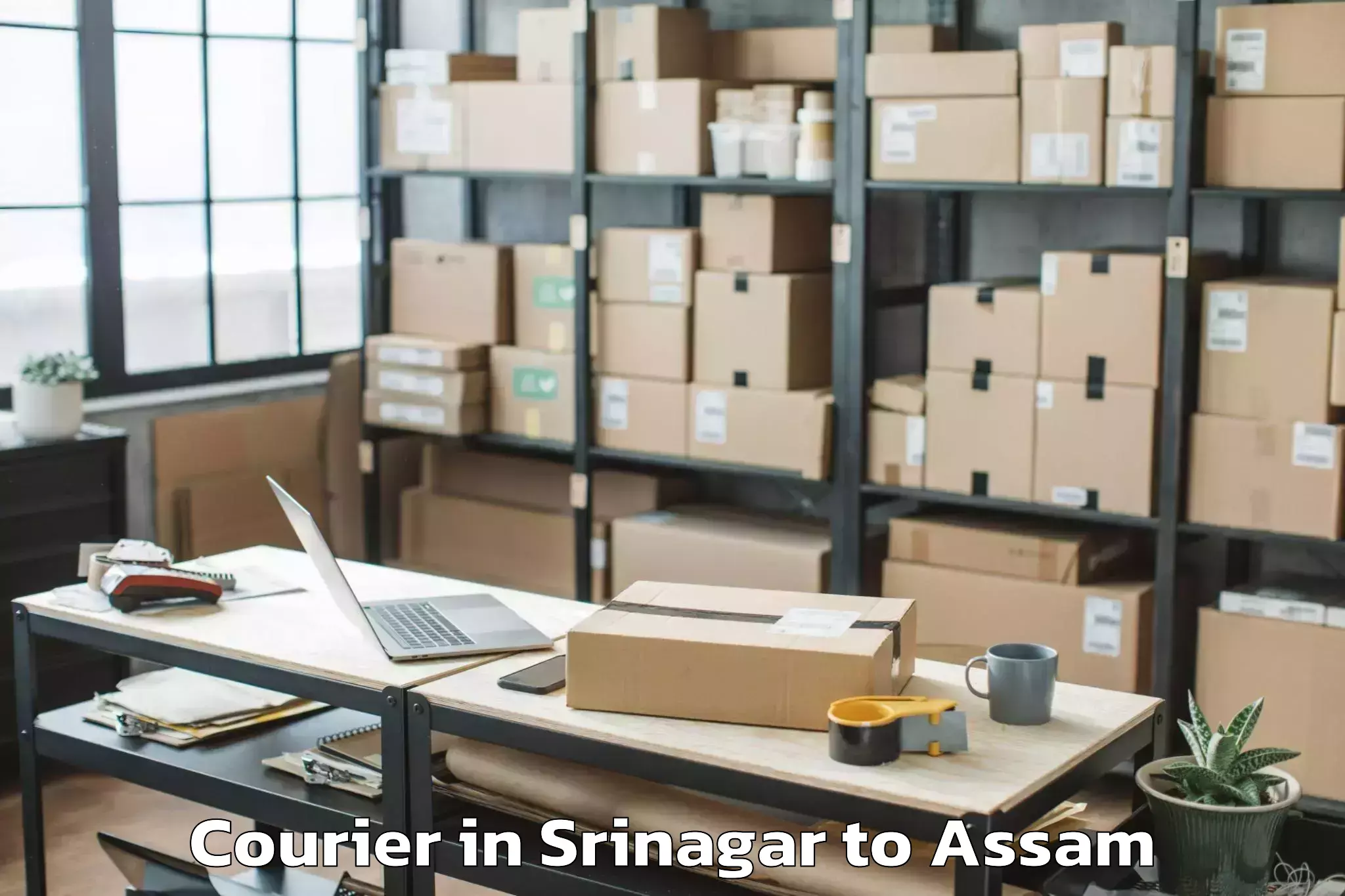 Leading Srinagar to Mankachar Courier Provider